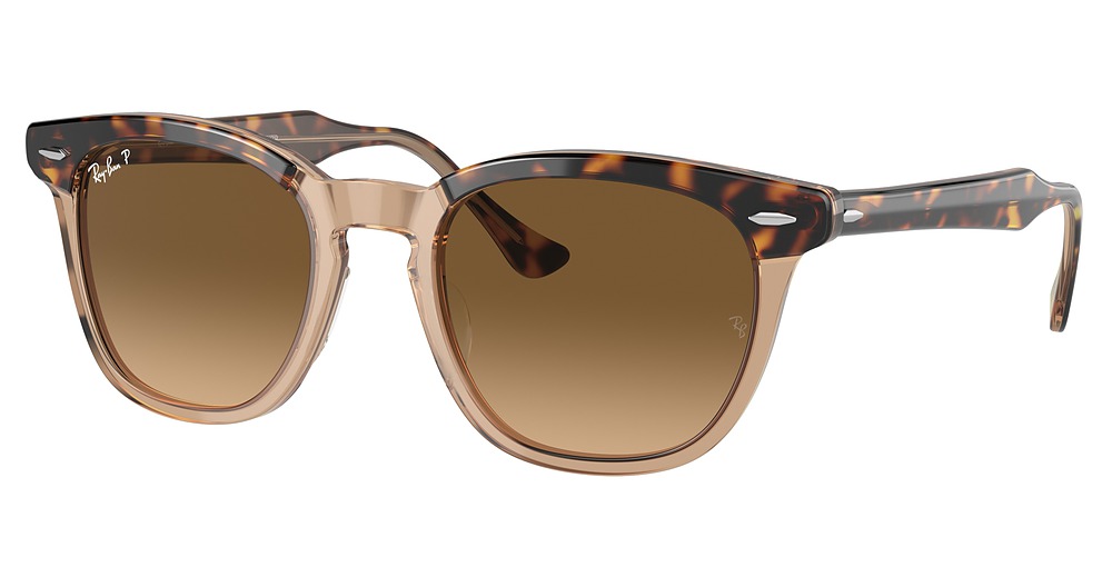 Ray-Ban RB2298 Sunglasses