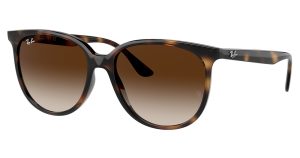 Ray-Ban RB4378F Sunglasses