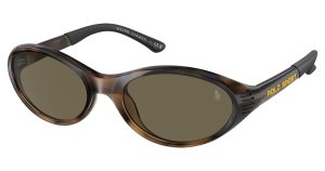 Polo PH4197U Sunglasses