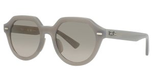 Ray-Ban RB4399F Sunglasses