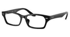 Ray-Ban RX5344D Eyeglasses