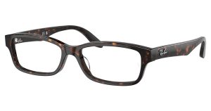 Ray-Ban RX5415D Eyeglasses