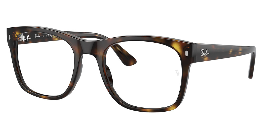 Ray-Ban RX7228F Eyeglasses