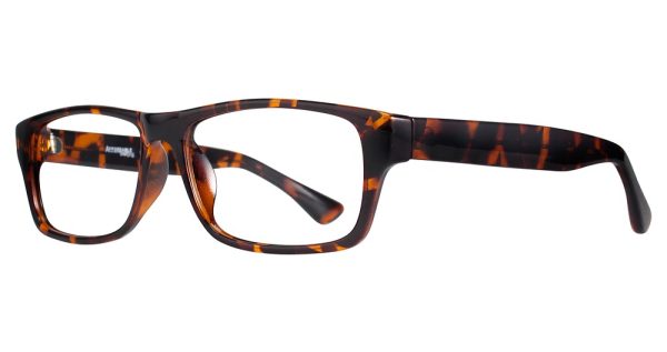 Eight to Eighty Apollo Eyeglasses