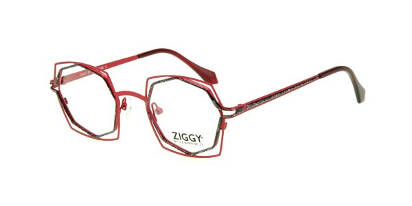 Ziggy 2204 C1