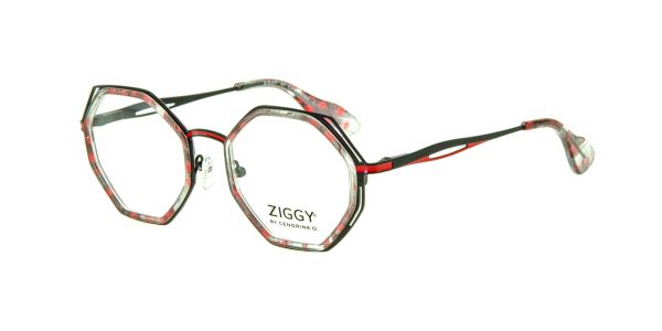 Ziggy 2370 C1