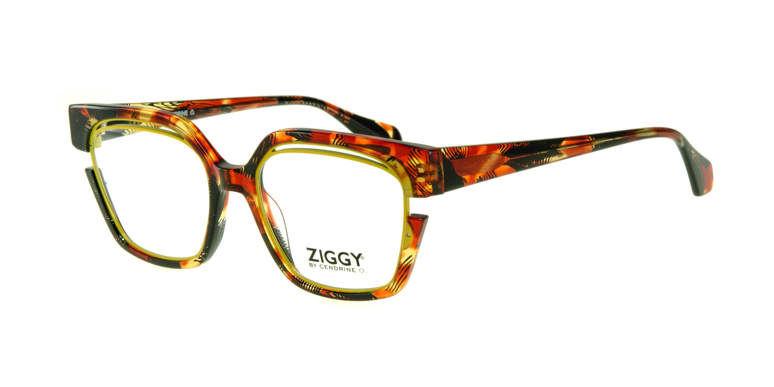 Ziggy-2373-C2-scaled.jpg