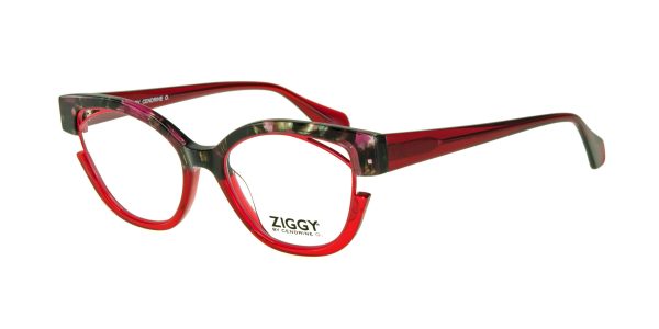 Ziggy 2374 Eyeglasses