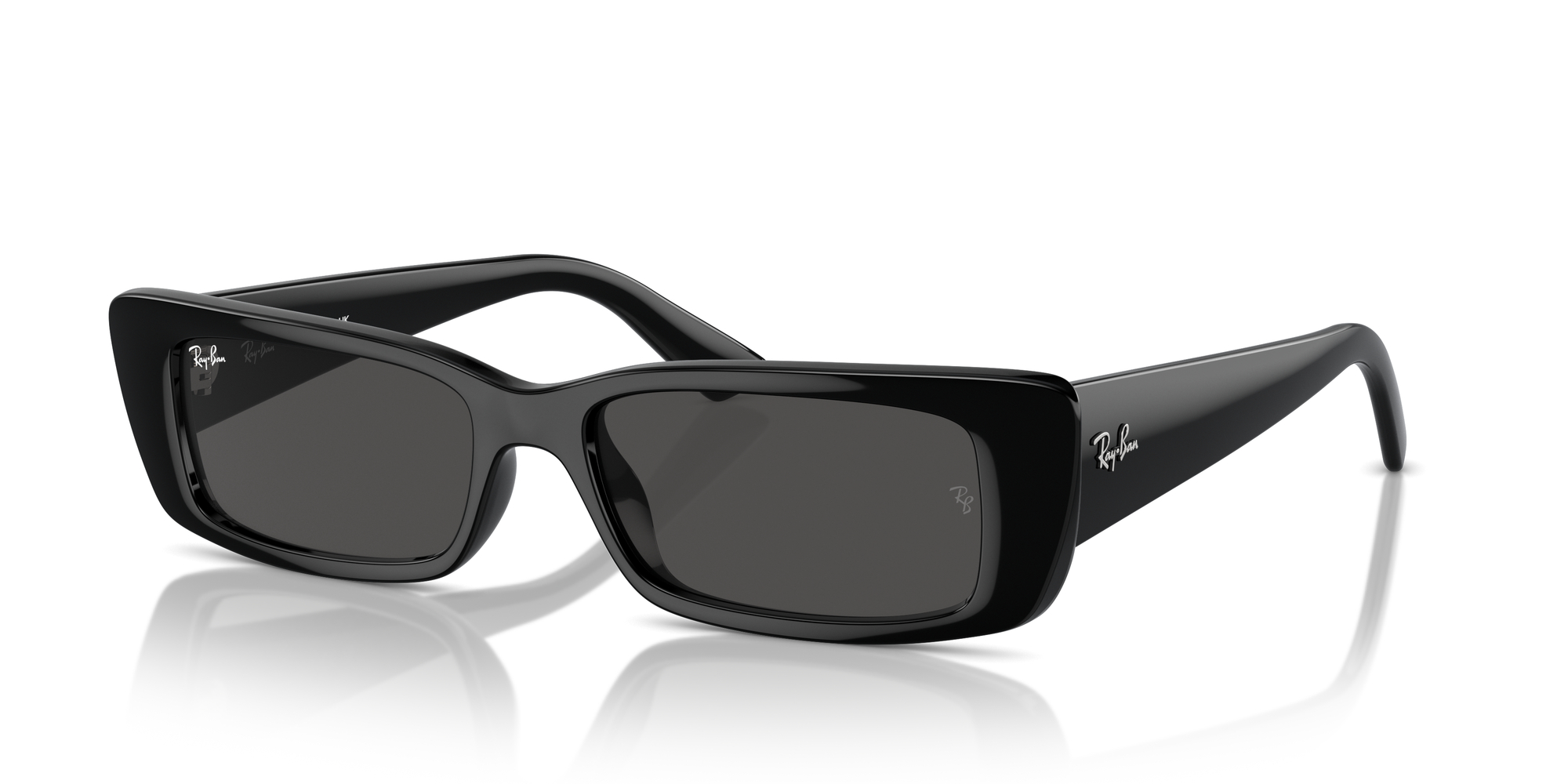 Ray Ban Teru Sunglasses Black Dark Grey