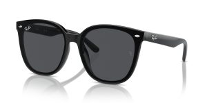 Ray-Ban RB4423D  Sunglasses
