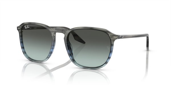 Ray-Ban RB2203F  Sunglasses