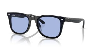 Ray-Ban RB4420  Sunglasses