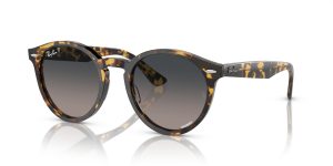 Ray-Ban RB7680S LARRY Sunglasses